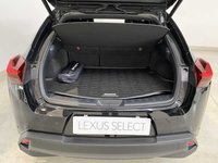 Lexus UX Benzina Hybrid Midnight Usata in provincia di Bari - LEXUS BARI - AMICAR - S.S. 96 Km 119 780 img-3