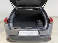 Lexus UX Benzina Hybrid Executive Usata in provincia di Bari - LEXUS BARI - AMICAR - S.S. 96 Km 119 780 img-3