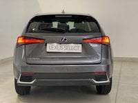 Lexus NX Benzina Hybrid 4WD Premium Usata in provincia di Bari - LEXUS BARI - AMICAR - S.S. 96 Km 119 780 img-2