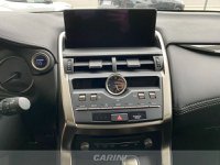 Lexus NX Ibrida 300h 2.5 business 4wd cvt Usata in provincia di Udine - LEXUS UDINE - CARINI - Via Nazionale  75/1 img-14