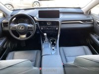 Lexus RX Ibrida 450h 3.5 executive cvt Km 0 in provincia di Udine - LEXUS UDINE - CARINI - Via Nazionale  75/1 img-19