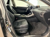 Lexus NX Ibrida Hybrid 4WD Luxury Usata in provincia di Roma - LEXUS ROMA NORD - AUTO ROYAL COMPANY - Via Salaria  1265 img-7