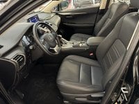 Lexus NX Ibrida Hybrid 4WD Executive Usata in provincia di Roma - LEXUS ROMA NORD - AUTO ROYAL COMPANY - Via Salaria  1265 img-10
