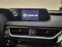 Lexus UX Ibrida Hybrid Executive Usata in provincia di Roma - LEXUS ROMA NORD - AUTO ROYAL COMPANY - Via Salaria  1265 img-9