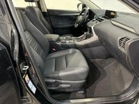 Lexus NX Ibrida Hybrid 4WD Executive Usata in provincia di Roma - LEXUS ROMA NORD - AUTO ROYAL COMPANY - Via Salaria  1265 img-7