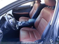 Lexus NX Ibrida I 2014 300h 2.5 Luxury 4wd cvt Usata in provincia di Ancona - LEXUS ANCONA - DAY CAR - Via Mario Natalucci  14 img-11