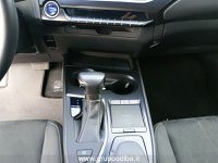 Lexus UX Ibrida 2019 250h 2.0 Executive 4wd cvt Usata in provincia di Ancona - LEXUS ANCONA - DAY CAR - Via Mario Natalucci  14 img-17