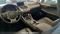 Lexus NX Benzina 1ª SERIE LEXUS Hybrid 4WD Luxury Usata in provincia di Ancona - LEXUS ANCONA - DAY CAR - Via Mario Natalucci  14 img-12