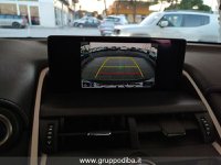 Lexus NX Ibrida I 2018 300h 2.5 Business 4wd cvt Usata in provincia di Ancona - LEXUS ANCONA - DAY CAR - Via Mario Natalucci  14 img-15