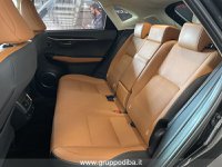 Lexus NX Ibrida I 2018 300h 2.5 Luxury 4wd cvt Usata in provincia di Ancona - LEXUS ANCONA - DAY CAR - Via Mario Natalucci  14 img-9