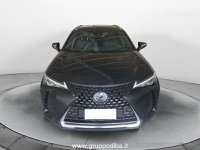 Lexus UX Ibrida 2019 250h 2.0 Premium 2wd cvt Usata in provincia di Ancona - LEXUS ANCONA - DAY CAR - Via Mario Natalucci  14 img-1