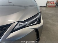 Lexus UX Ibrida 2019 250h 2.0 Executive 2wd cvt Usata in provincia di Ancona - LEXUS ANCONA - DAY CAR - Via Mario Natalucci  14 img-6