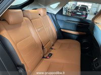 Lexus NX Ibrida I 2018 300h 2.5 Luxury 4wd cvt Usata in provincia di Ancona - LEXUS ANCONA - DAY CAR - Via Mario Natalucci  14 img-12
