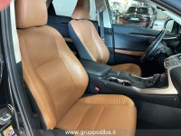 Lexus NX Ibrida I 2018 300h 2.5 Luxury 4wd cvt Usata in provincia di Ancona - LEXUS ANCONA - DAY CAR - Via Mario Natalucci  14 img-13