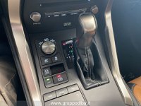 Lexus NX Ibrida I 2018 300h 2.5 Luxury 4wd cvt Usata in provincia di Ancona - LEXUS ANCONA - DAY CAR - Via Mario Natalucci  14 img-20