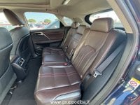 Lexus RX Ibrida IV 2016 450h 3.5 Luxury 263cv cvt Usata in provincia di Ancona - LEXUS ANCONA - DAY CAR - Via Mario Natalucci  14 img-10