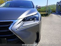 Lexus NX Ibrida I 2014 300h 2.5 Luxury 4wd cvt Usata in provincia di Ancona - LEXUS ANCONA - DAY CAR - Via Mario Natalucci  14 img-8