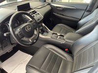 Auto Lexus Nx Hybrid 4Wd F-Sport Usate A Roma