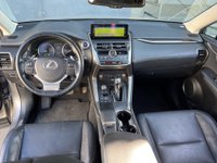 Lexus NX Ibrida Hybrid 4WD Luxury Usata in provincia di Roma - LEXUS ROMA SUD - ZEROCENTO - Viale dell'Arte  20 img-12