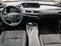 Lexus UX Ibrida Hybrid Executive Usata in provincia di Bologna - LEXUS BOLOGNA - GRUPPO M - Via Emilia  295 img-8