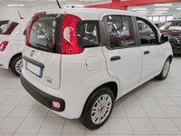 Auto Fiat Panda 1.0 70Cv Firefly Hybrid Easy - Pronta Consegna Usate A Milano