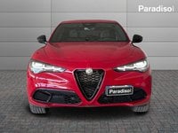 Auto Usate A Catanzaro | Alfa Romeo Stelvio 2.0 Tributo Italiano - 2024 | Q4 279Cv