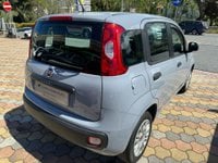 FIAT Panda Benzina 1.2 Easy Usata in provincia di Cosenza - Suriano Esse Auto Sas img-3