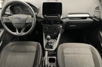 Ford EcoSport Benzina 1.0 EcoBoost 100 CV Plus Usata in provincia di Novara - Arona img-10