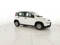 Auto Fiat Panda 1.0 Firefly Hybrid S&S 70Cv Usate A Chieti