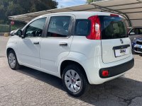 FIAT Panda Benzina Panda 5 porte 1.2 69cv S&S   Pop Usata in provincia di Brescia - Auto Leali 1 img-5
