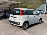 FIAT Panda Benzina Panda 5 porte 1.2 69cv S&S   Pop Usata in provincia di Brescia - Auto Leali 1 img-7