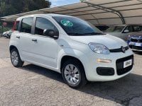FIAT Panda Benzina Panda 5 porte 1.2 69cv S&S   Pop Usata in provincia di Brescia - Auto Leali 1 img-9