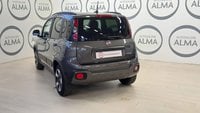 Auto Fiat Panda Cross 1.0 Firefly S&S Hybrid Cross Usate A Varese