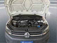 Volkswagen Caddy Diesel 2.0 tdi 102cv van coibentato lamberet business dsg e6 Gebraucht in Bolzano - Auto Brenner Brunico img-9