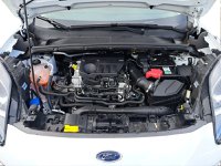 Ford Puma Benzina 1.0 ecoboost h titanium s&s 125cv Usata in provincia di Bolzano - DWA AUTO BRENNER BOLZANO img-9