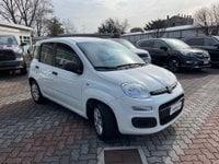 Auto Fiat Panda Panda 1.2 Easy Ok Neopatentati Usate A Monza E Della Brianza