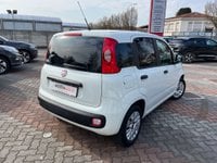 Auto Fiat Panda Panda 1.2 Easy Ok Neopatentati Usate A Monza E Della Brianza