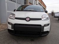 Auto Fiat Panda 1.2 Gpl Km. Zero 338.7575187 Massari Marco Km0 A Reggio Emilia