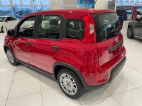 Auto Fiat Panda 1.0 Firefly S&S Hybrid Pronta Consegna Nuove Pronta Consegna A Reggio Emilia