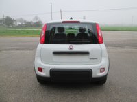 Auto Fiat Panda 1.0 Firefly S&S Hybrid #Sensori #Sedile #Radio Km0 A Vicenza