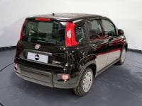 Auto Fiat Panda 1.0 Firefly S&S Hybrid Km0 A Pordenone