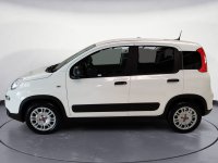Auto Fiat Professional Panda Van 1.0 S&S Hybrid Van 4 Posti Km0 A Pordenone
