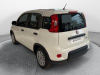 Auto Fiat Panda 1.0 Firefly S&S Hybrid Km0 A Pisa