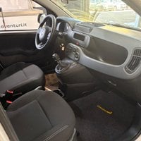 Auto Usate A Viterbo | Fiat Pandina 1.0 Firefly 65 Cv Hybrid Pop