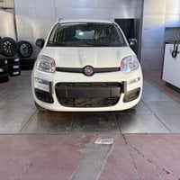 Auto Usate A Viterbo | Fiat Pandina 1.0 Firefly 65 Cv Hybrid Pop