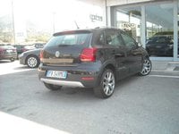 Auto Volkswagen Polo 5ª Serie Cross 1.4 Tdi Bluemotion Technology Usate A Lucca