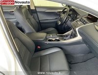 Lexus NX Ibrida 300H 4WD PREM MY20 Usata in provincia di Varese - LEXUS VARESE - NOVAUTO - Viale Ippodromo  59 img-11