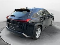 Auto Lexus Ux Hybrid Business Usate A Forli-Cesena