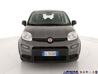 Auto Fiat Panda 1.0 Firefly S&S Hybrid City Life Usate A Padova