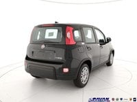 Auto Fiat Panda 1.0 Firefly S&S Hybrid Km0 A Padova